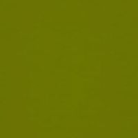 кромка ПВХ  Олива зеленая 645 / Y11 22*1 мм (глянец) AGT 2гр