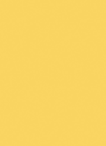ЛДСП 10 мм 2800*2070 мм Кукурузный жёлтый U146 ST9 7 Эггер фото 2
