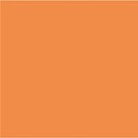 кромка ПВХ  Оранжевый PG011 22*1 мм (глянец) AGT  2гр